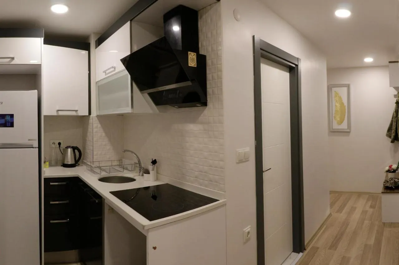 Fully Equiped Apartment Istanbul - Zarif-28 Turkey